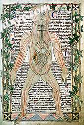 13th century illustration showing the veins.