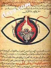 Arabic manuscript, Anatomy of the Eye, by al-Mutadibih, 1200 CE