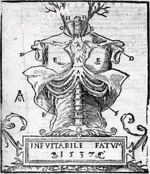 Anathomia, 1541