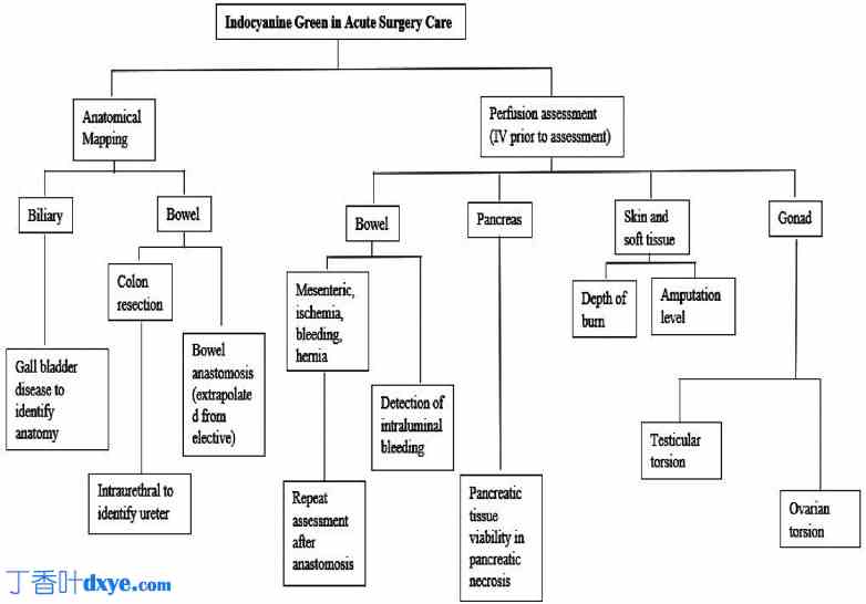 吲哚菁绿荧光染料在急诊普通外科手术中的应用